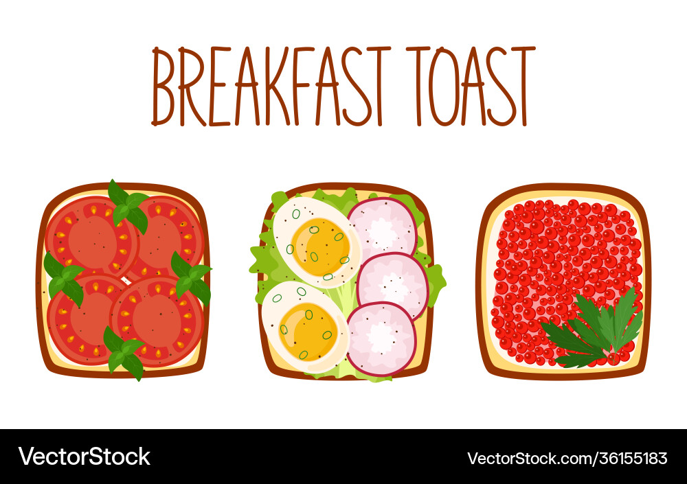 Set toasts for breakfast with different Set toasts for breakfast with different vector image