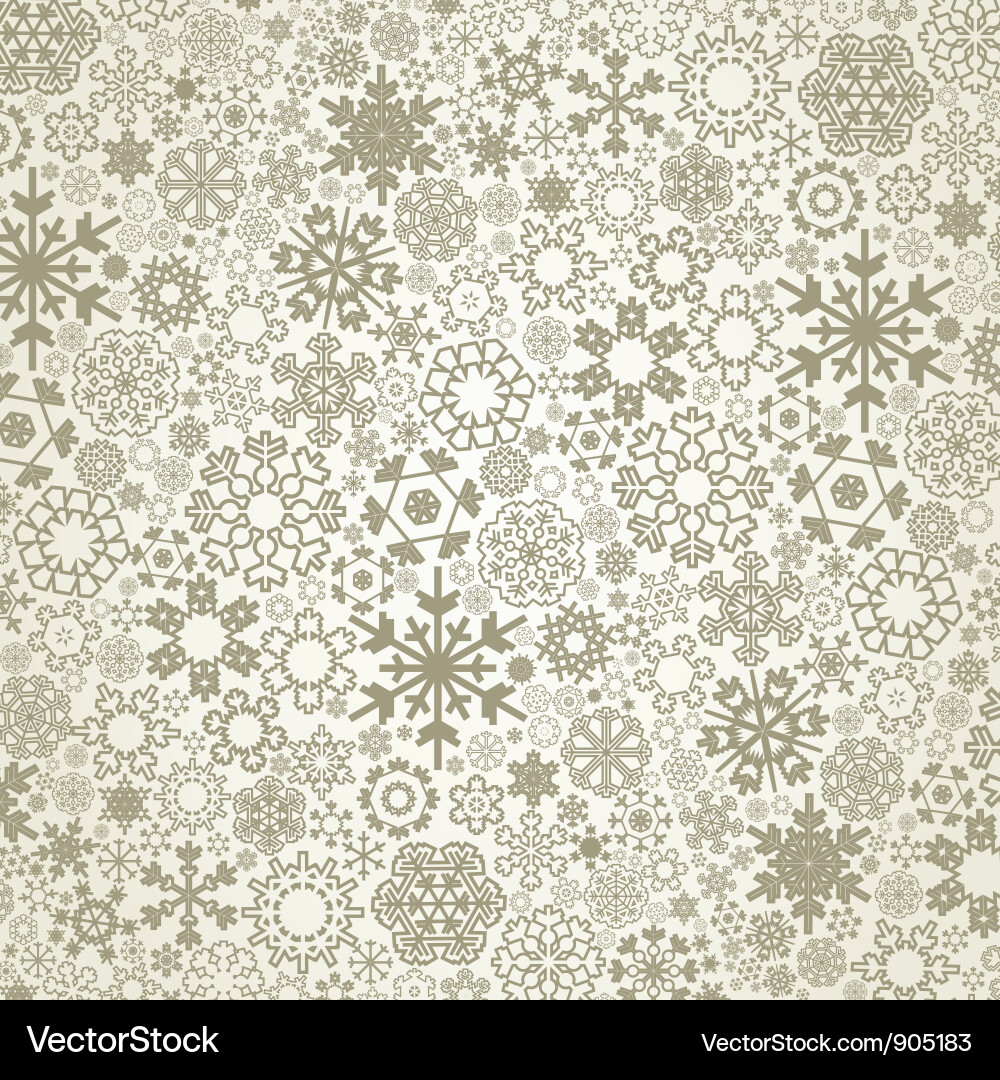 Snowflake Pattern vector image