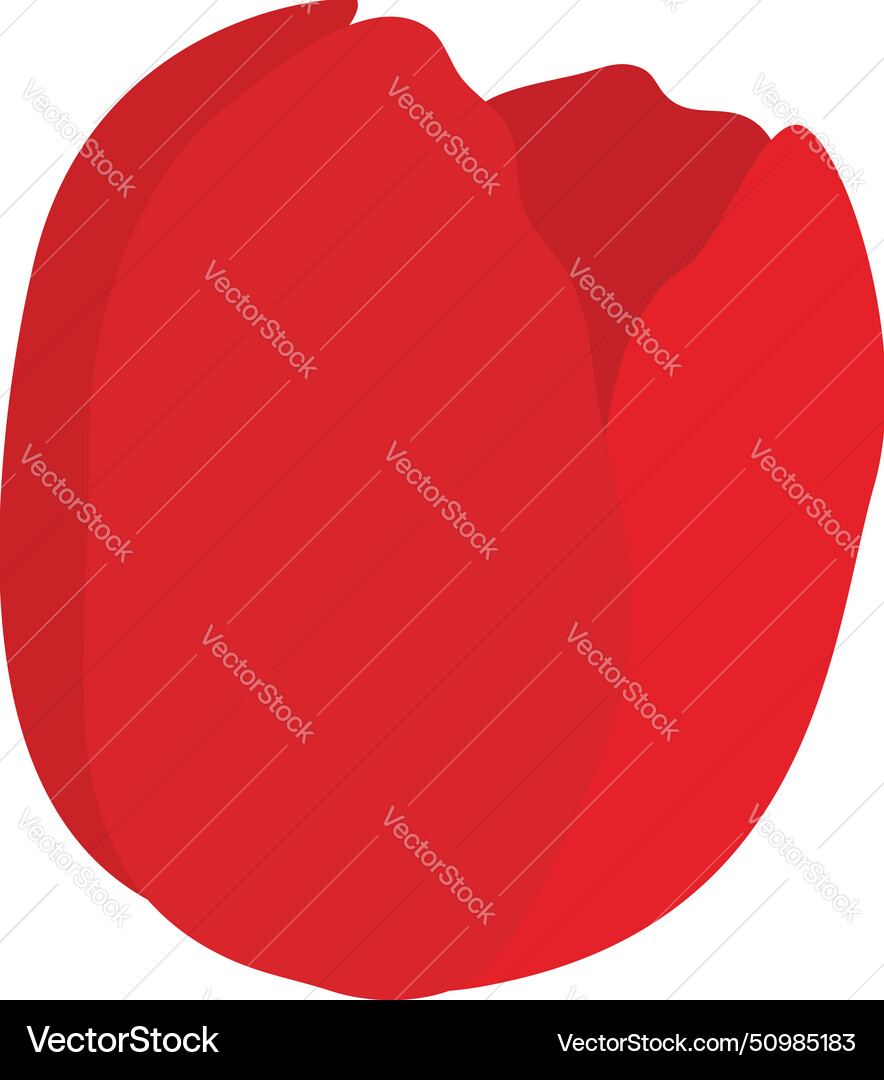 Spring tulip bud element Spring tulip bud element vector image