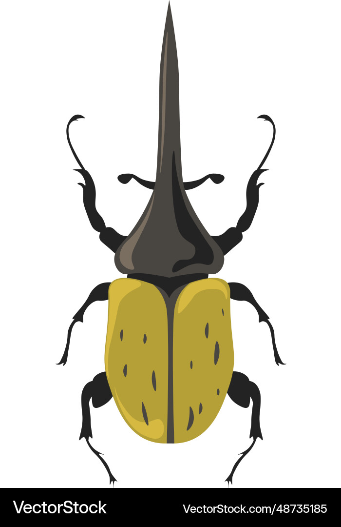 Bug hercules beetle dynastes Insektenarten Bug hercules beetle dynastes Insektenarten vektorbild