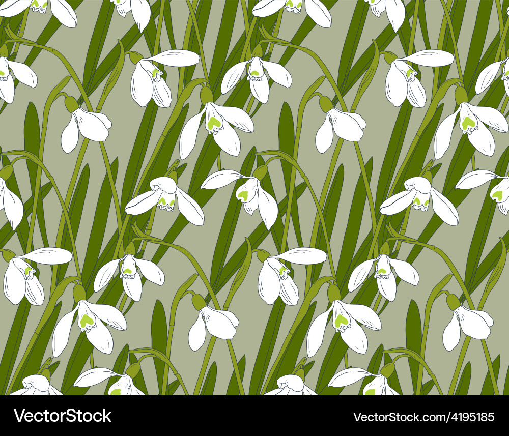Snowdrop Spring Seamless Pattern vector image