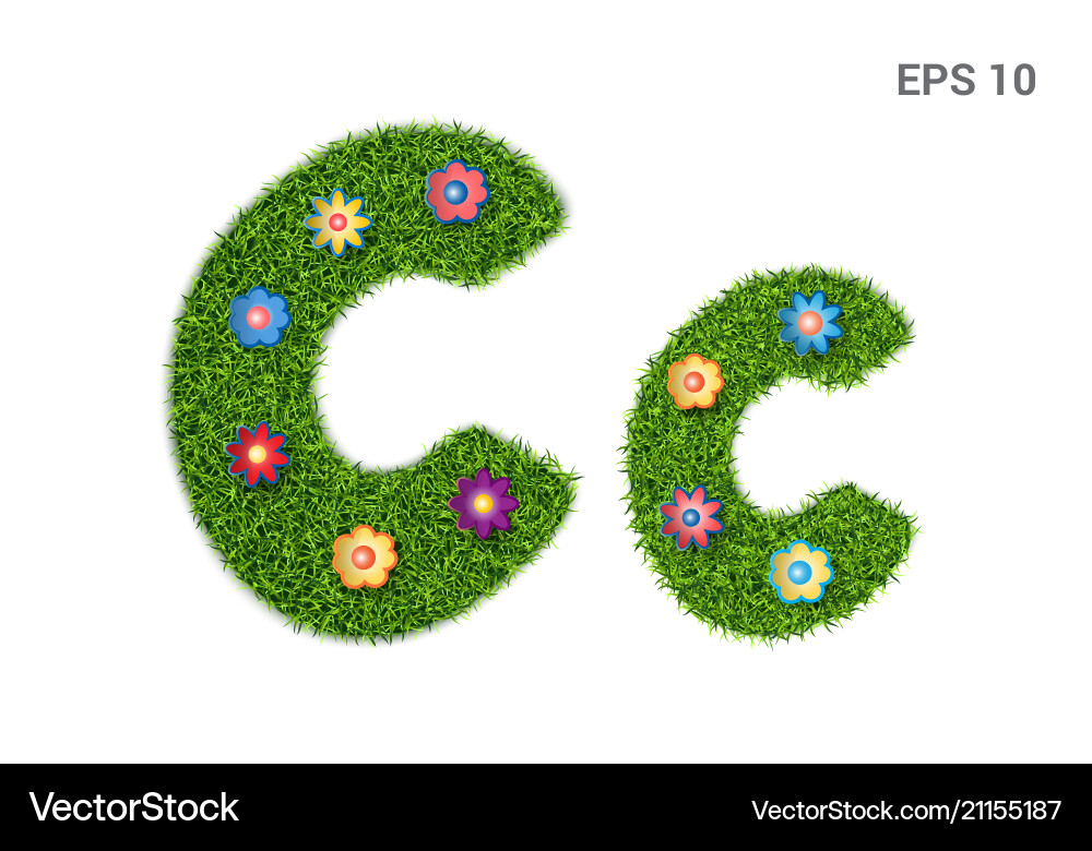 Letter cc vector image