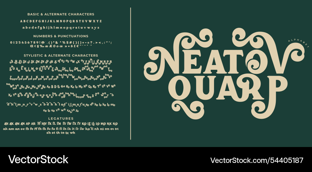 Neatov quarp serif stylish display bold font vector image