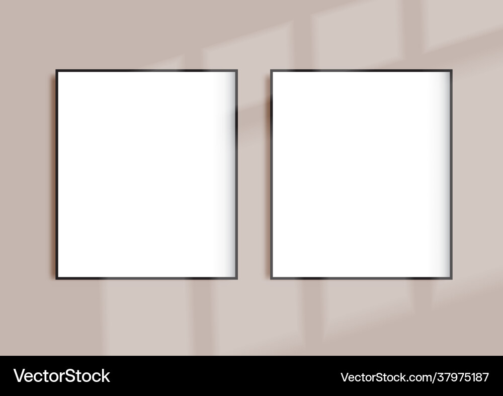 Picture frame display background with shadow vector image