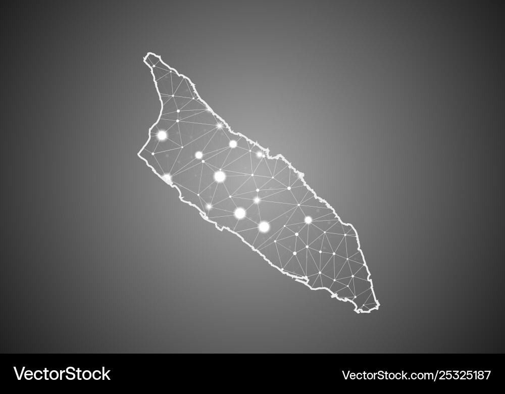 Wireframe mesh polygonal aruba map abstract Wireframe mesh polygonal aruba map abstract Vector Image