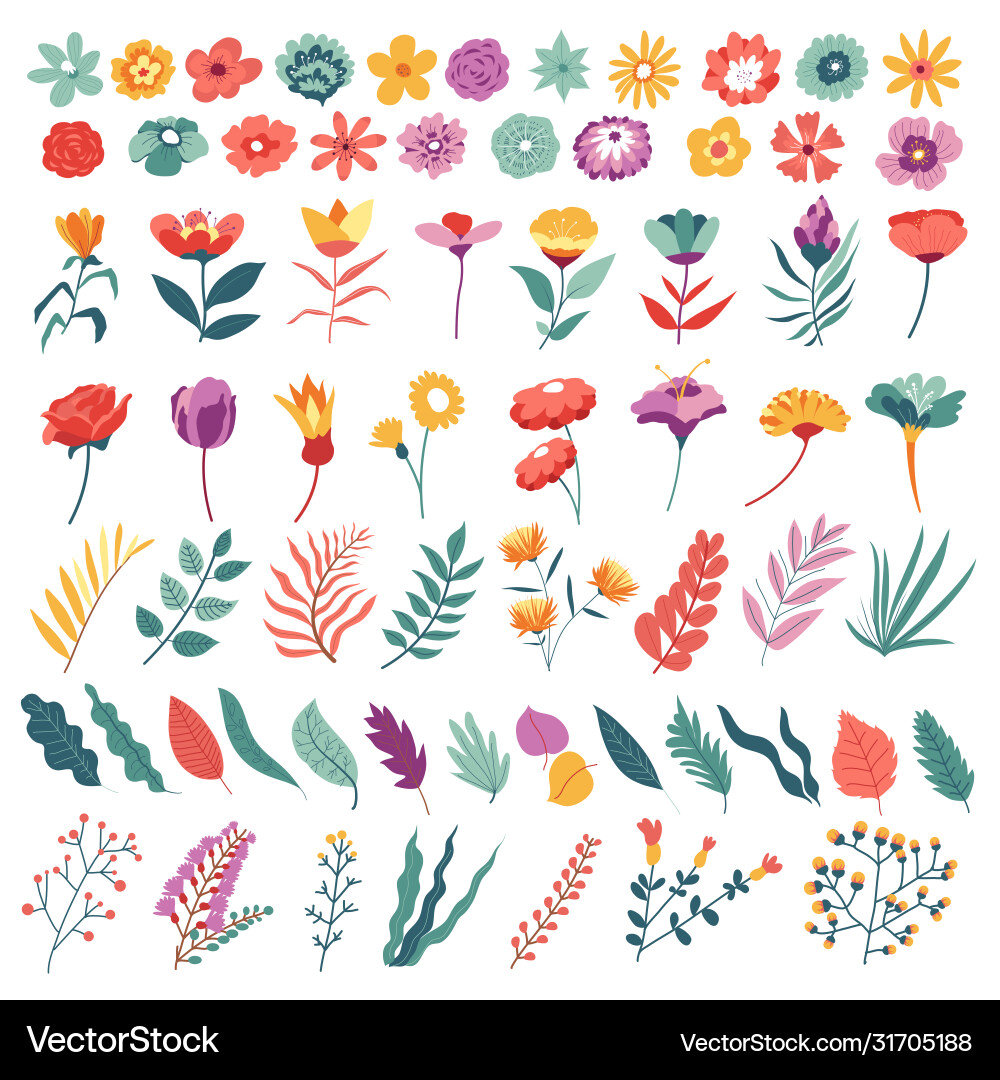 Botanical Flowers and Leaves Collection vector image
