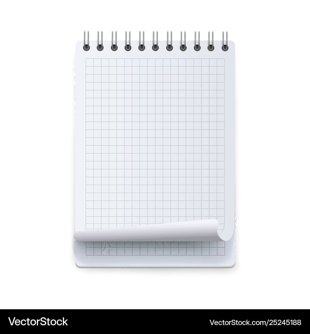Checkered Notebook Mockup 3D vector image