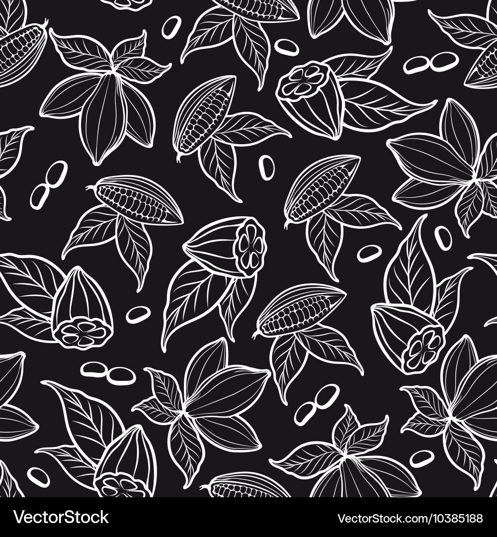 Cocoa Bean Pattern Vector Image