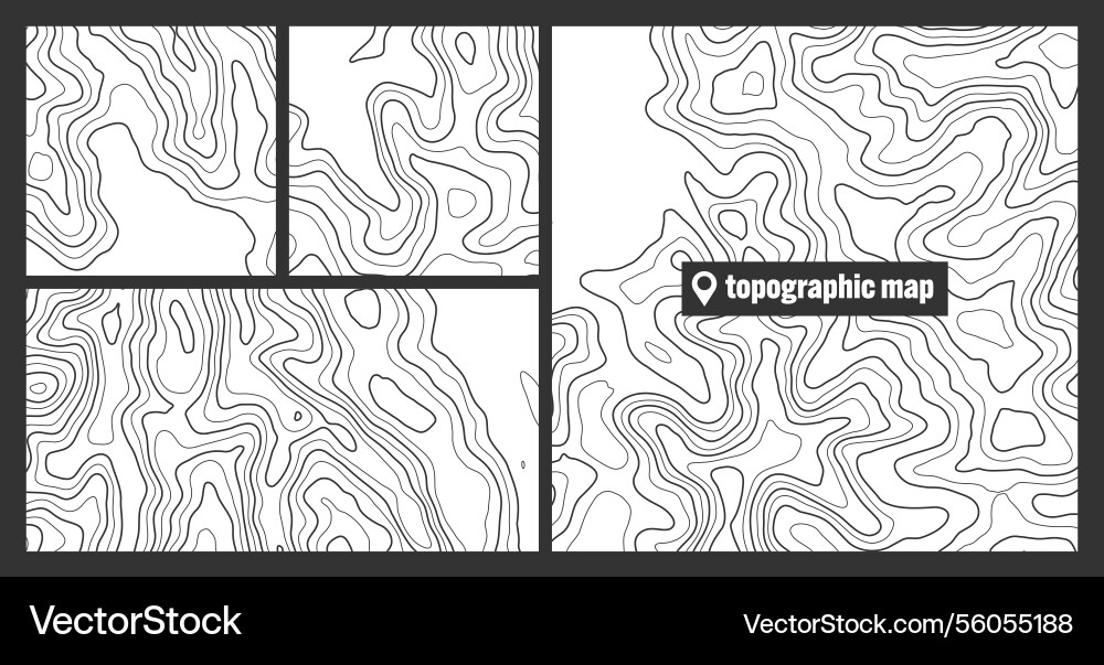 Colorful topographic map sets with contour lines Colorful topographic map sets with contour lines vector image
