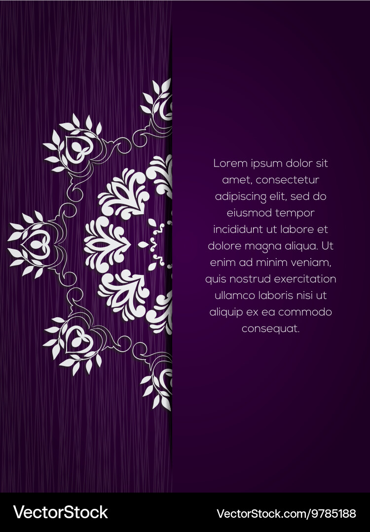 Intricate Mandala Pattern vector image