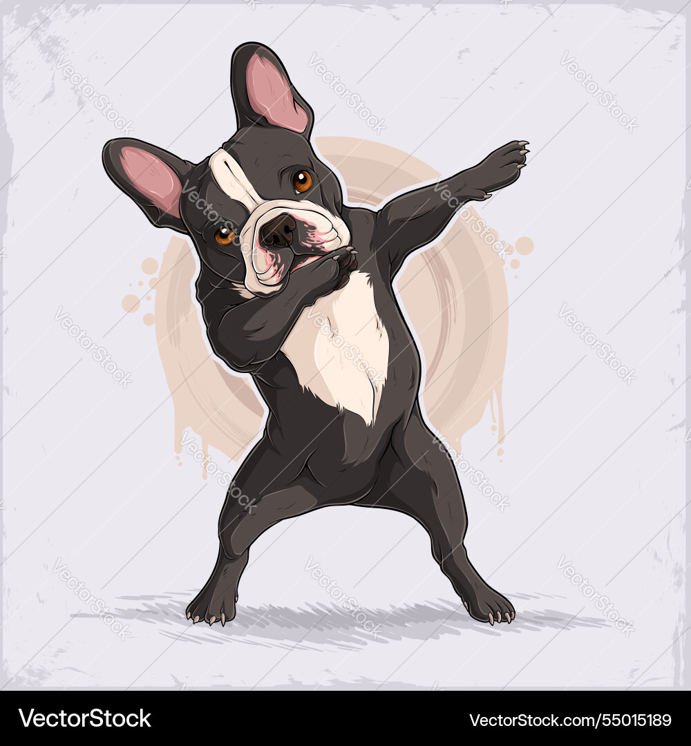 Schwarz-Creme Hund Rasse Französisch Bulldogge Dabbing Schwarz-Creme Hund Rasse Französisch Bulldogge Dabbing vektorbild