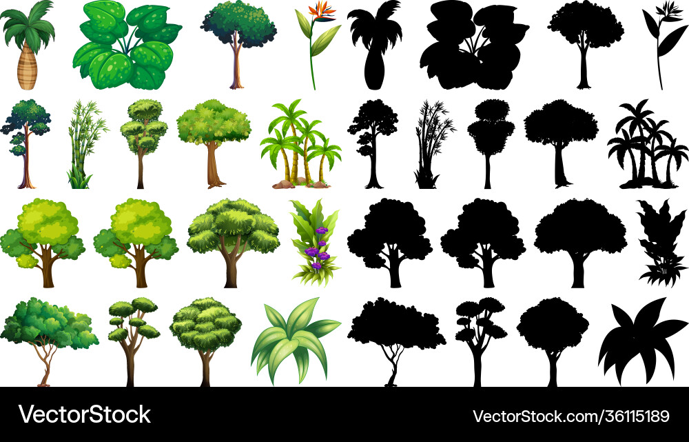Set different tree with its silhouette Set different tree with its silhouette vector image