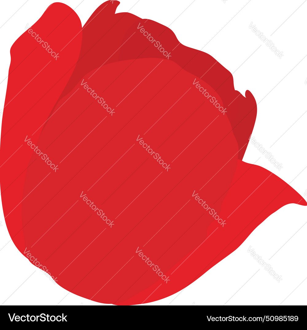 Spring tulip bud element Spring tulip bud element vector image