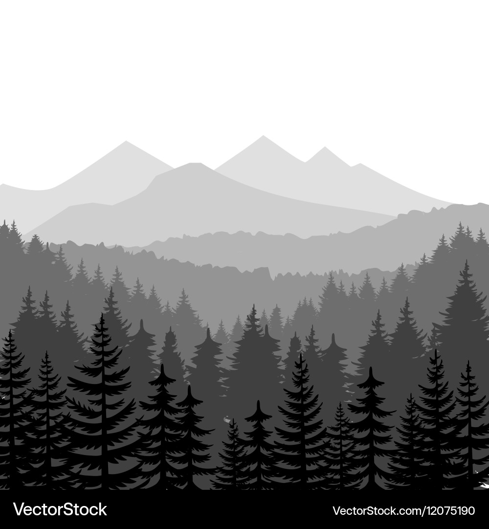 Mountain Pine Forest Landscape vector image
