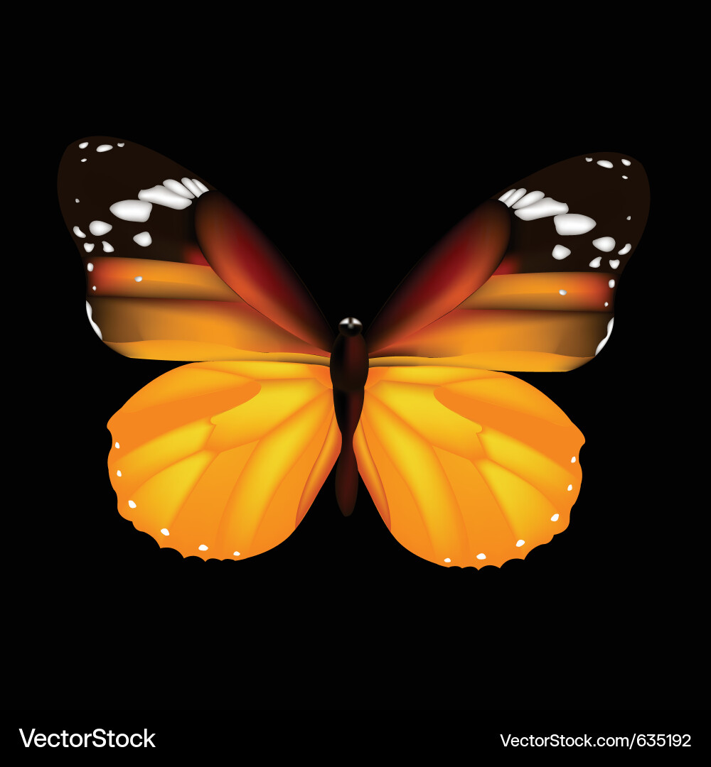 Butterfly background Royalty Free Vector Image
