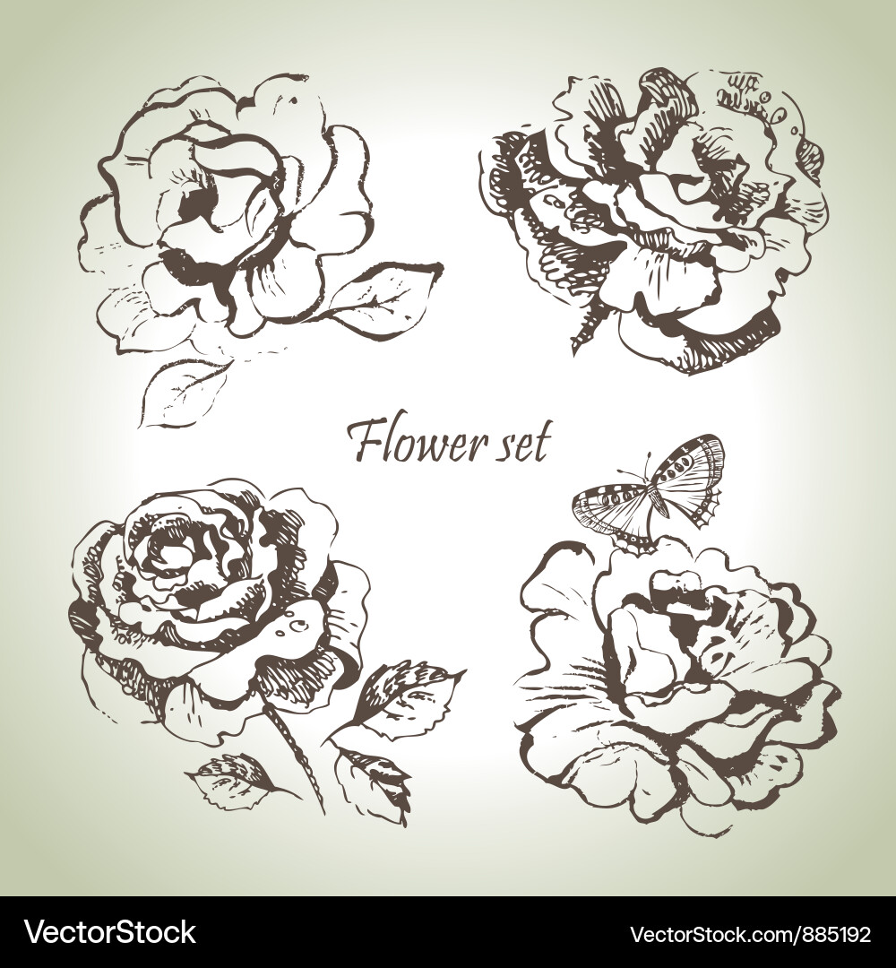 Floral set vector image