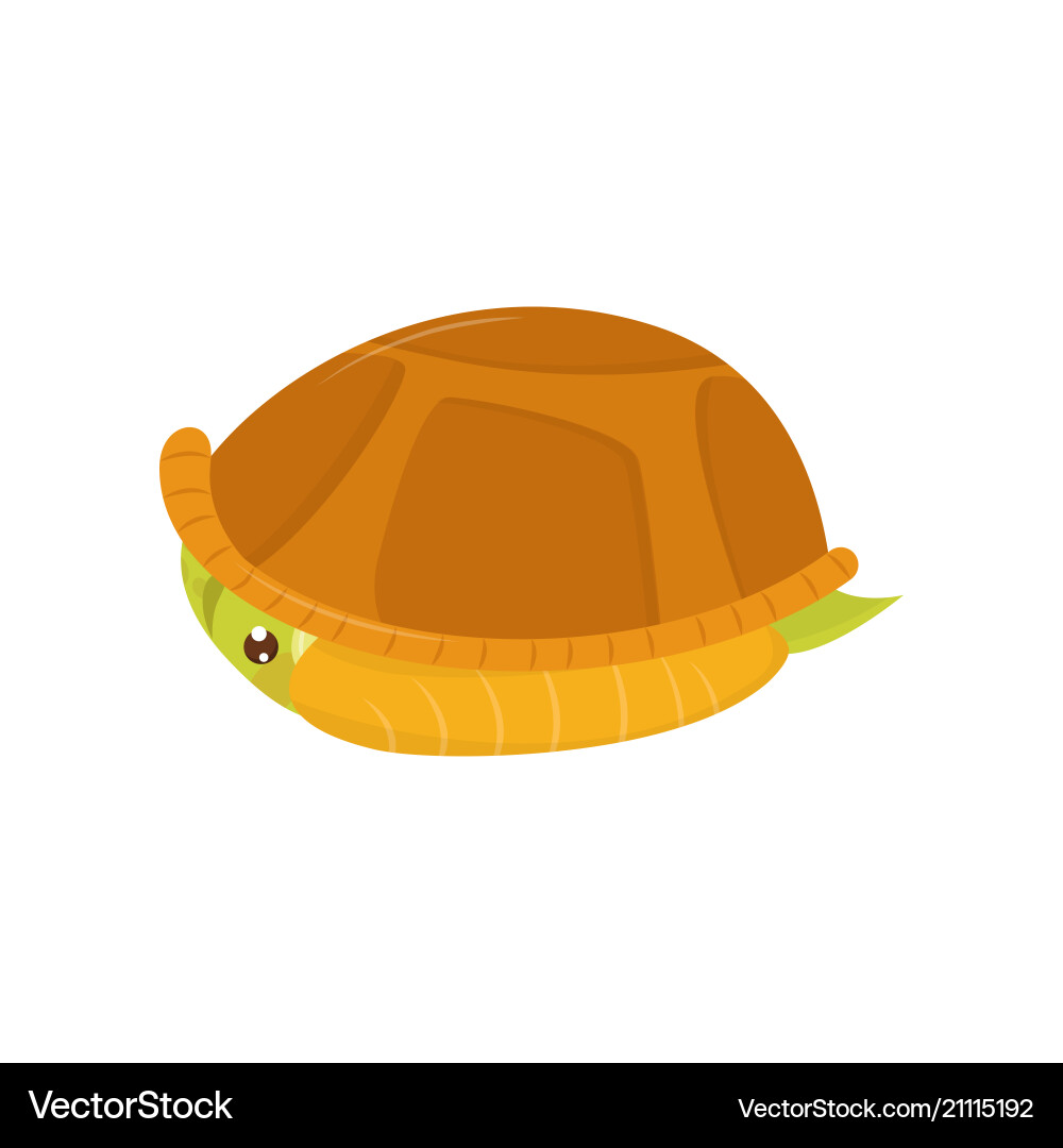 Scared Green Turtle in Shell Vector Image