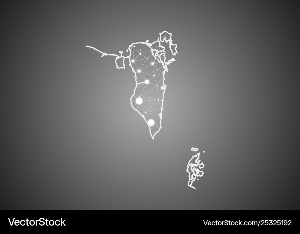 Wireframe mesh polygonal bahrain map abstract Vector Image