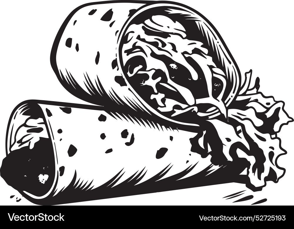 Burrito basics getting started with simple Vector Image