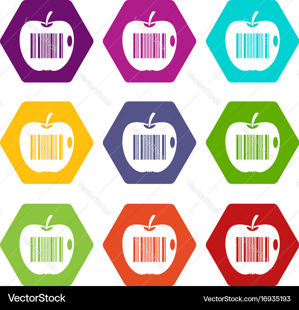Code to represent product identification icon set Code to represent product identification icon set vector image