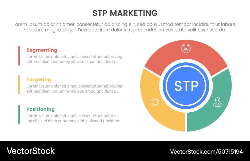 Stp marketing strategy model for segmentation Vector Image