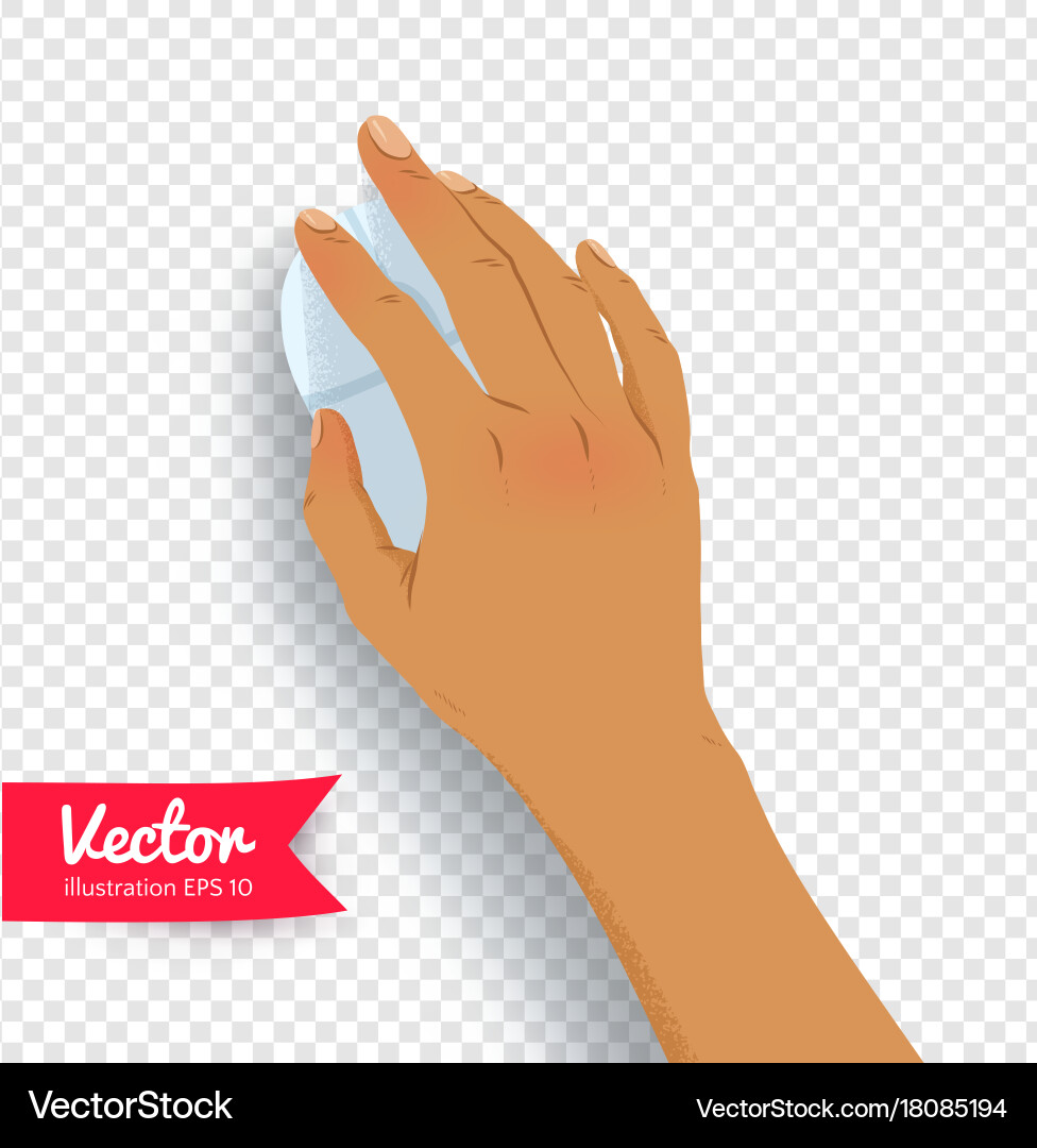 Woman Using Computer Mouse Vector Image