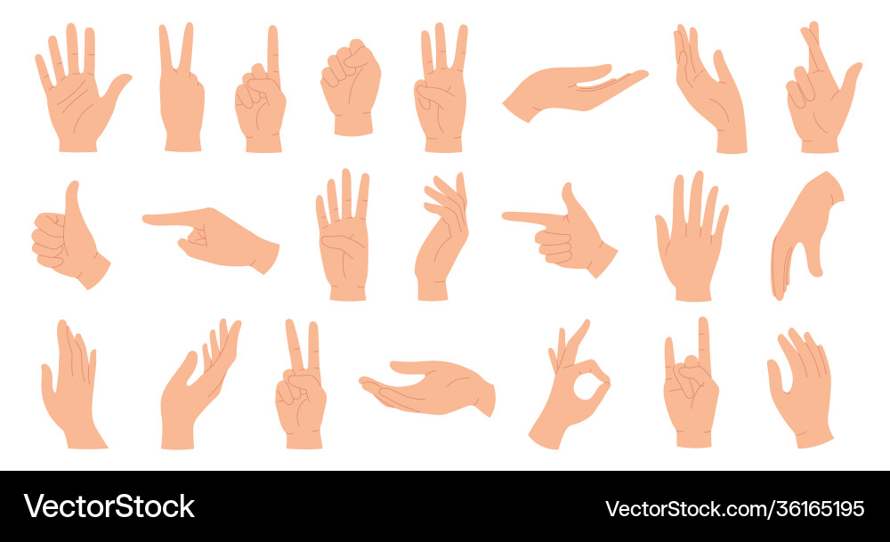 Hands poses female hand holding and pointing Hands poses female hand holding and pointing vector image