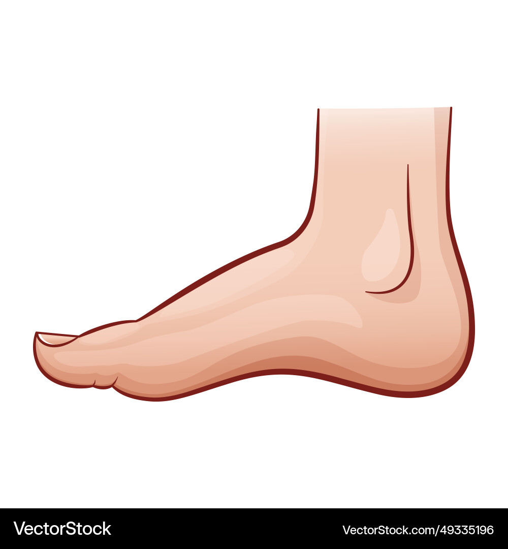 Human foot cartoon Vector Image
