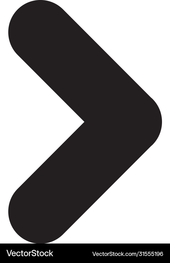 Next Button Arrow Icon vector image