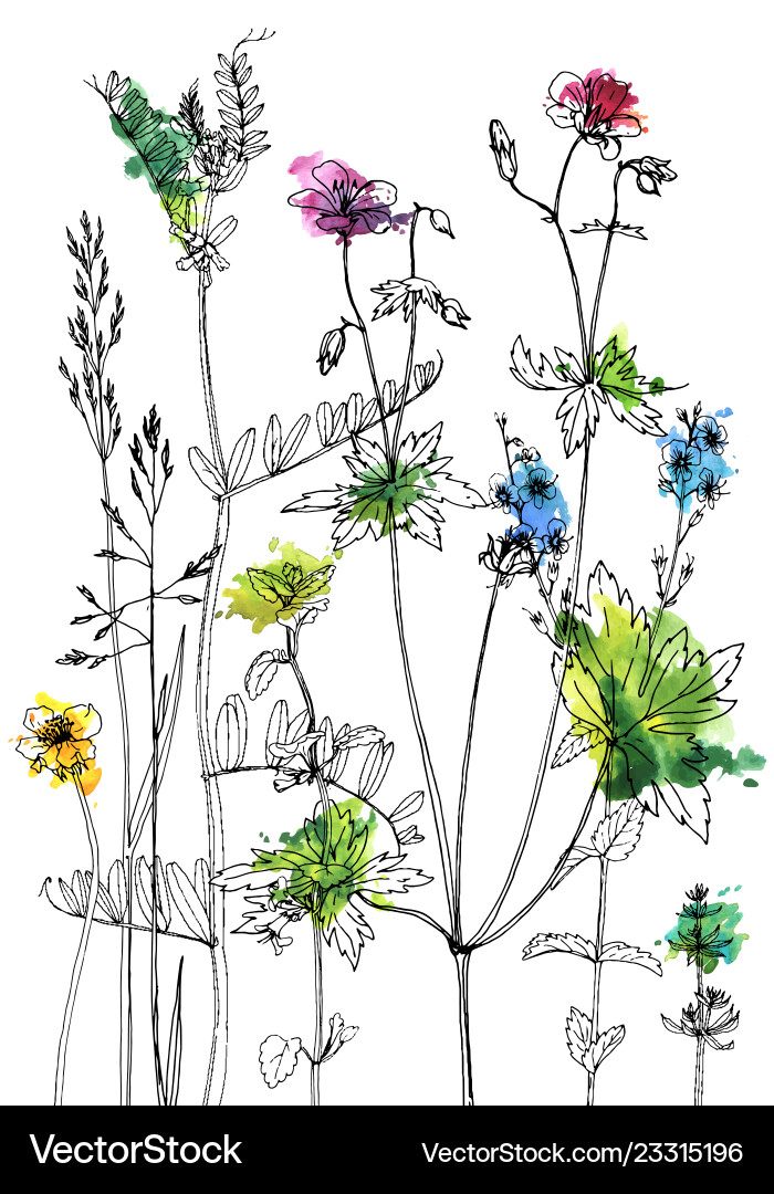 Set of ink drawing herbs and flowers vector image