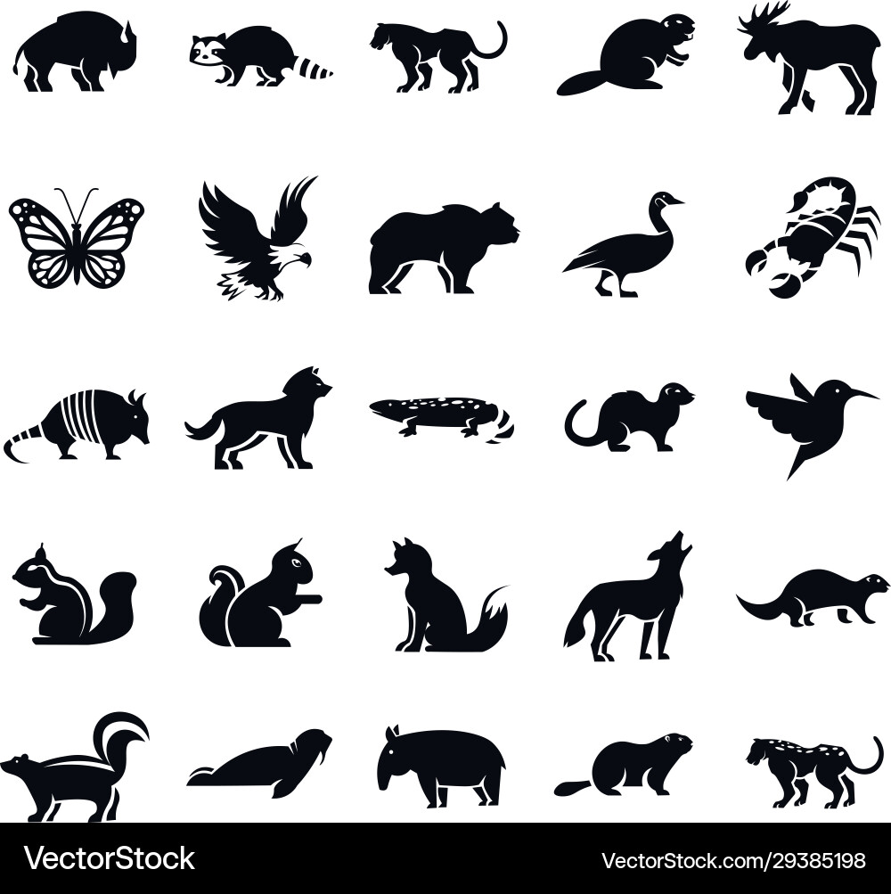 Armadillo icon Armadillo icon vector image