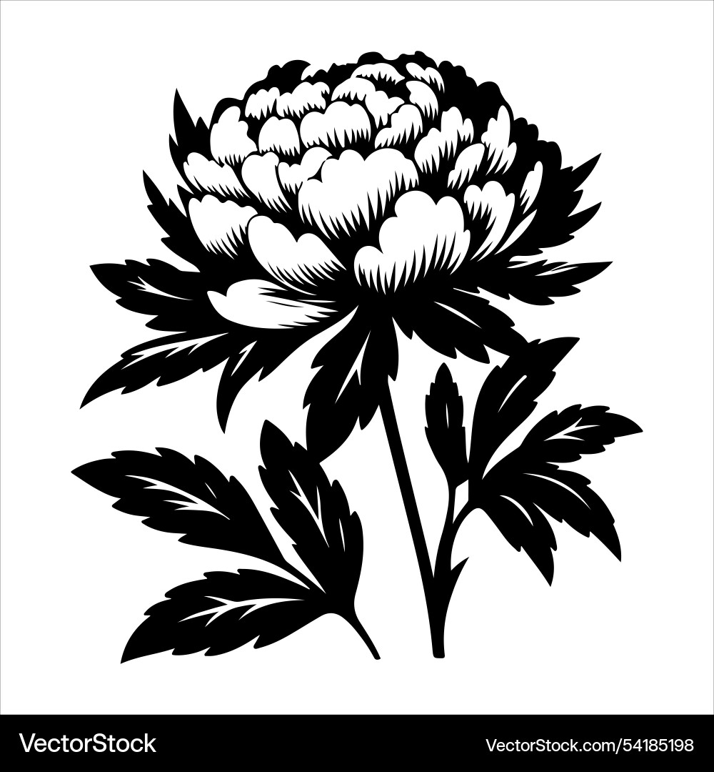 Peony Blumensilhouette eps Peony Blumensilhouette eps vektorbild