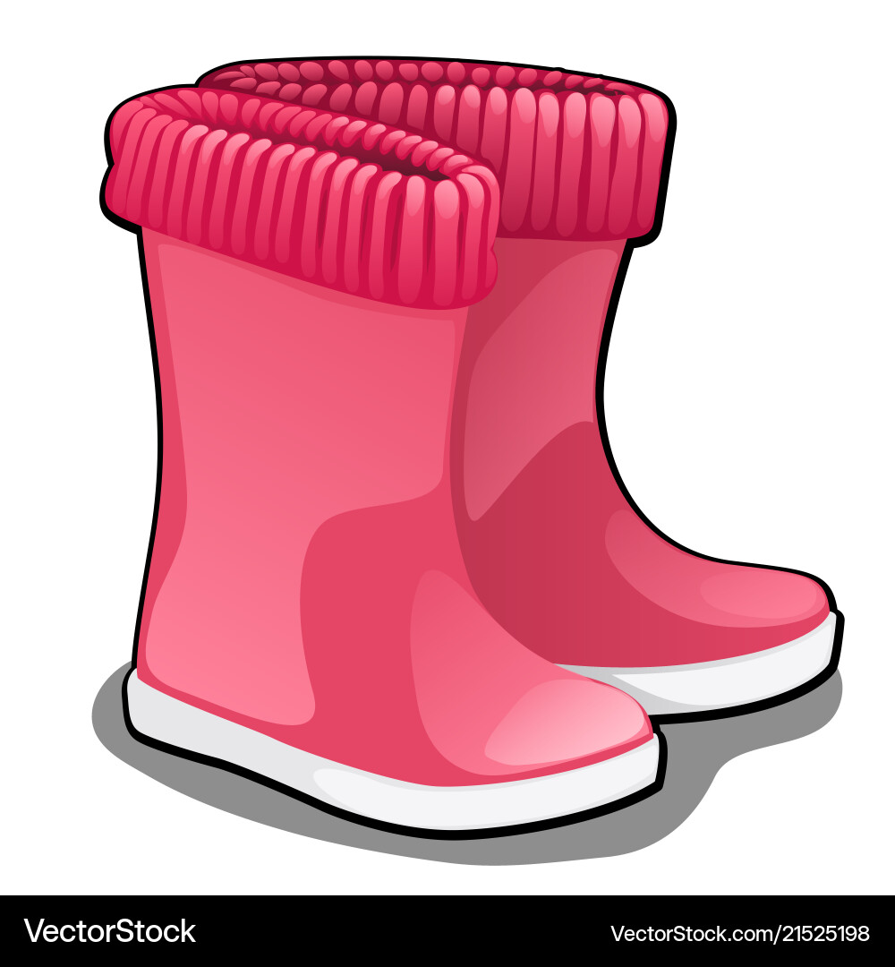 Stylish pink rubber boots or wellingtons isolated Stylish pink rubber boots or wellingtons isolated vector image
