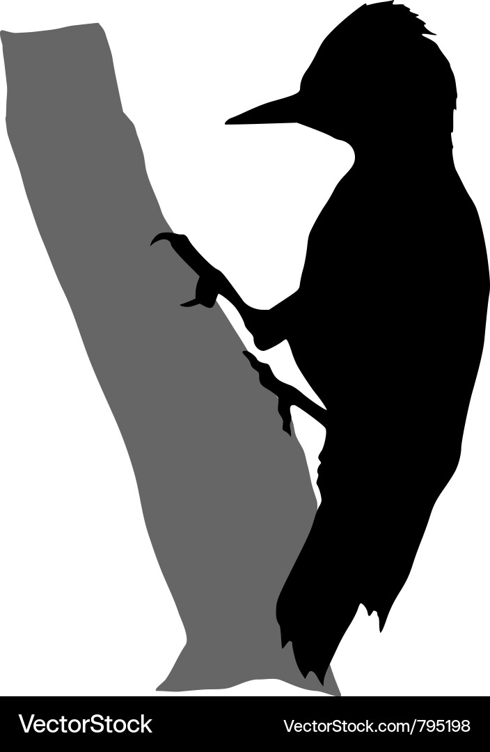 Woodpecker Silhouette on Bark vector image
