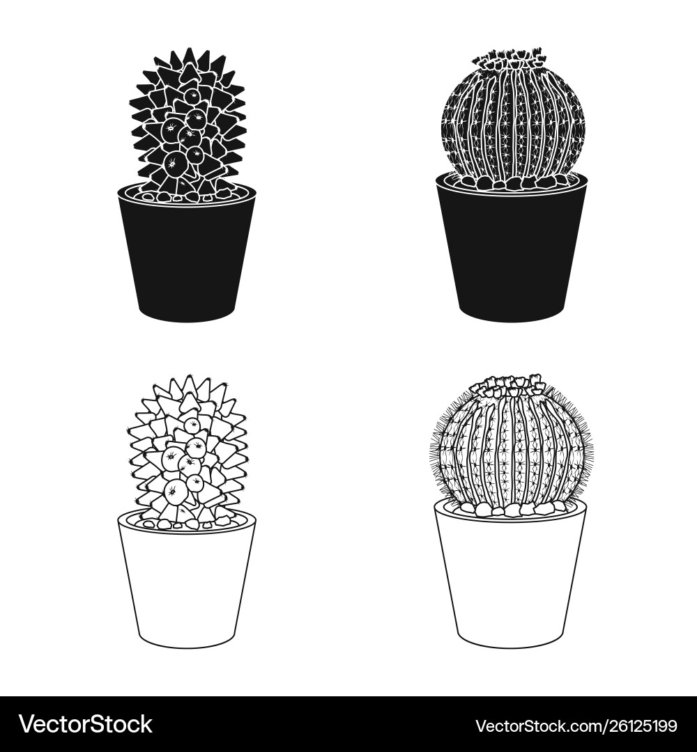 Isolated object cactus and pot symbol set Vector Image