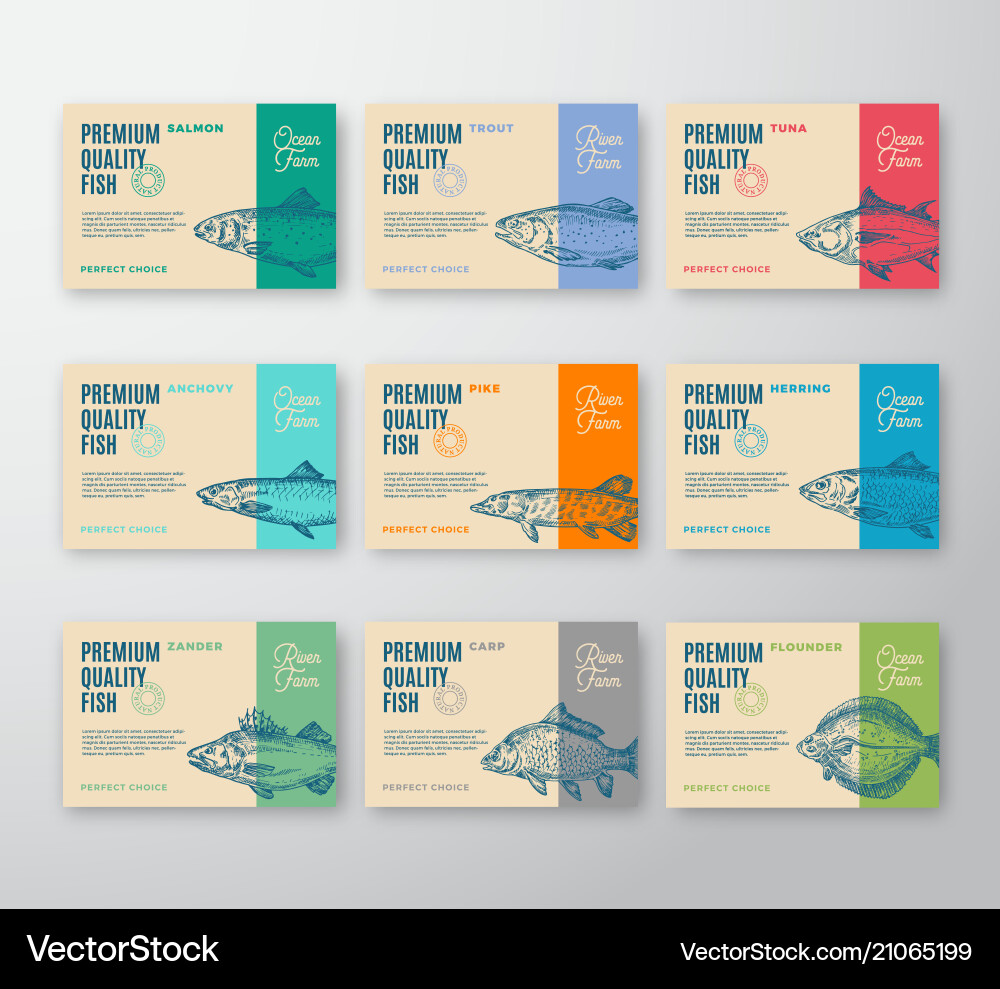 Premium quality fish labels collection abstract Vector Image