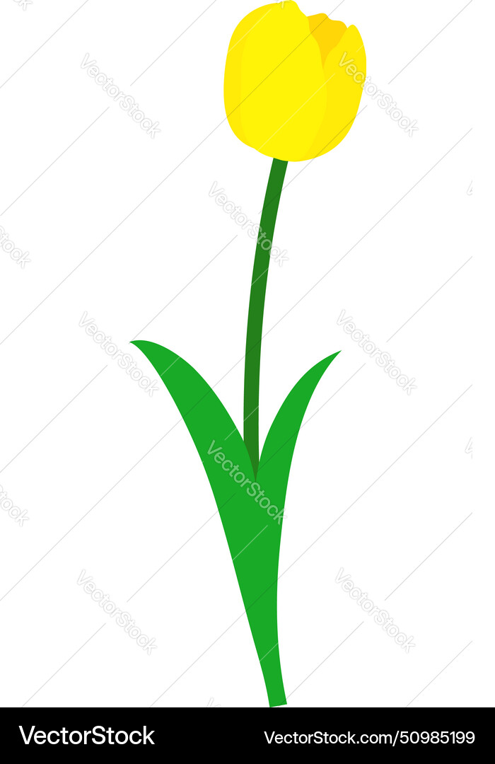 Spring tulip element Spring tulip element vector image