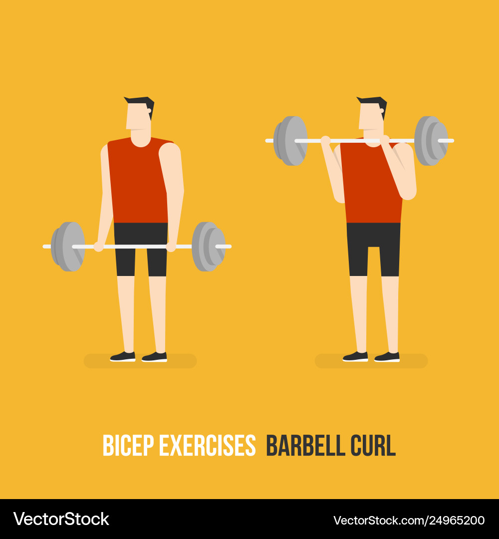 Bicep exercises barbell curl Bicep exercises barbell curl vector image