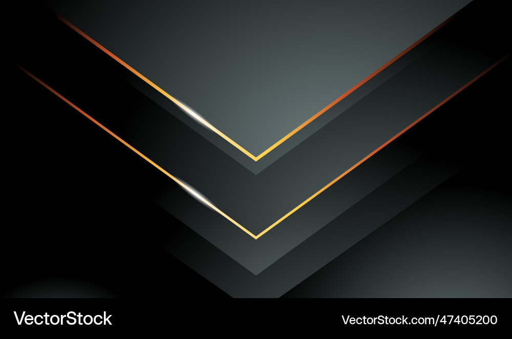 Luxury background 3d gradient design vector image