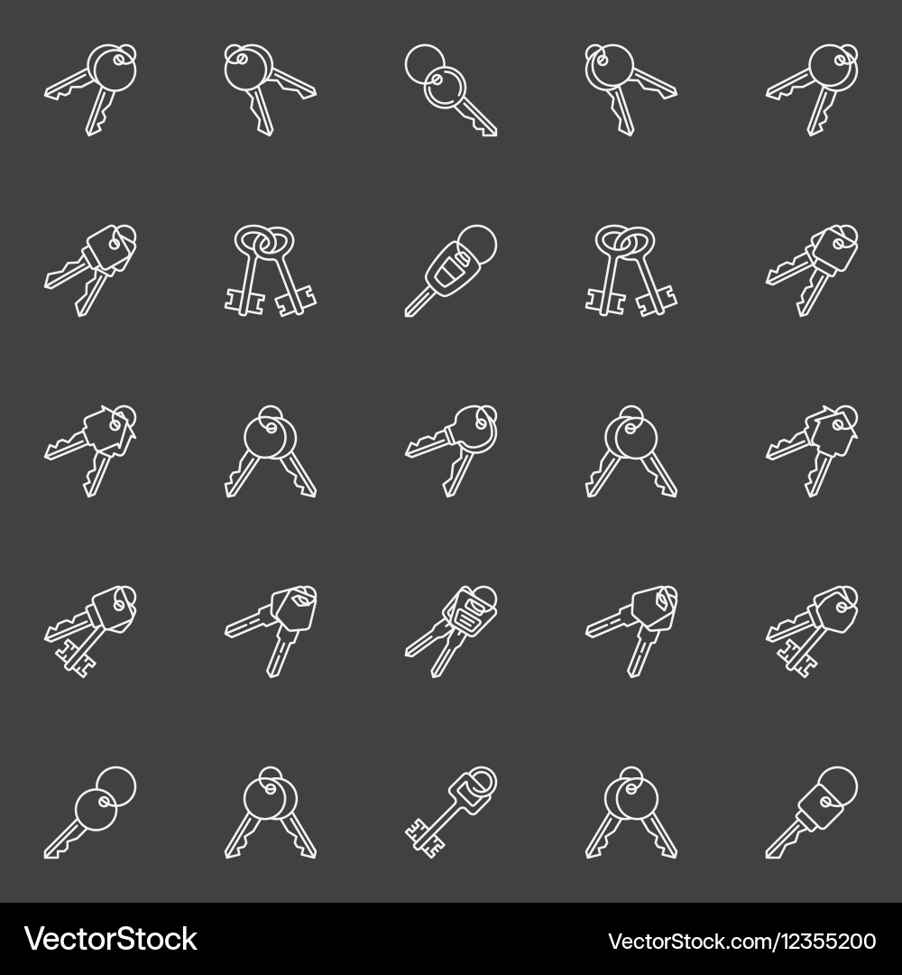 Pair of Linear Keys Vector Image