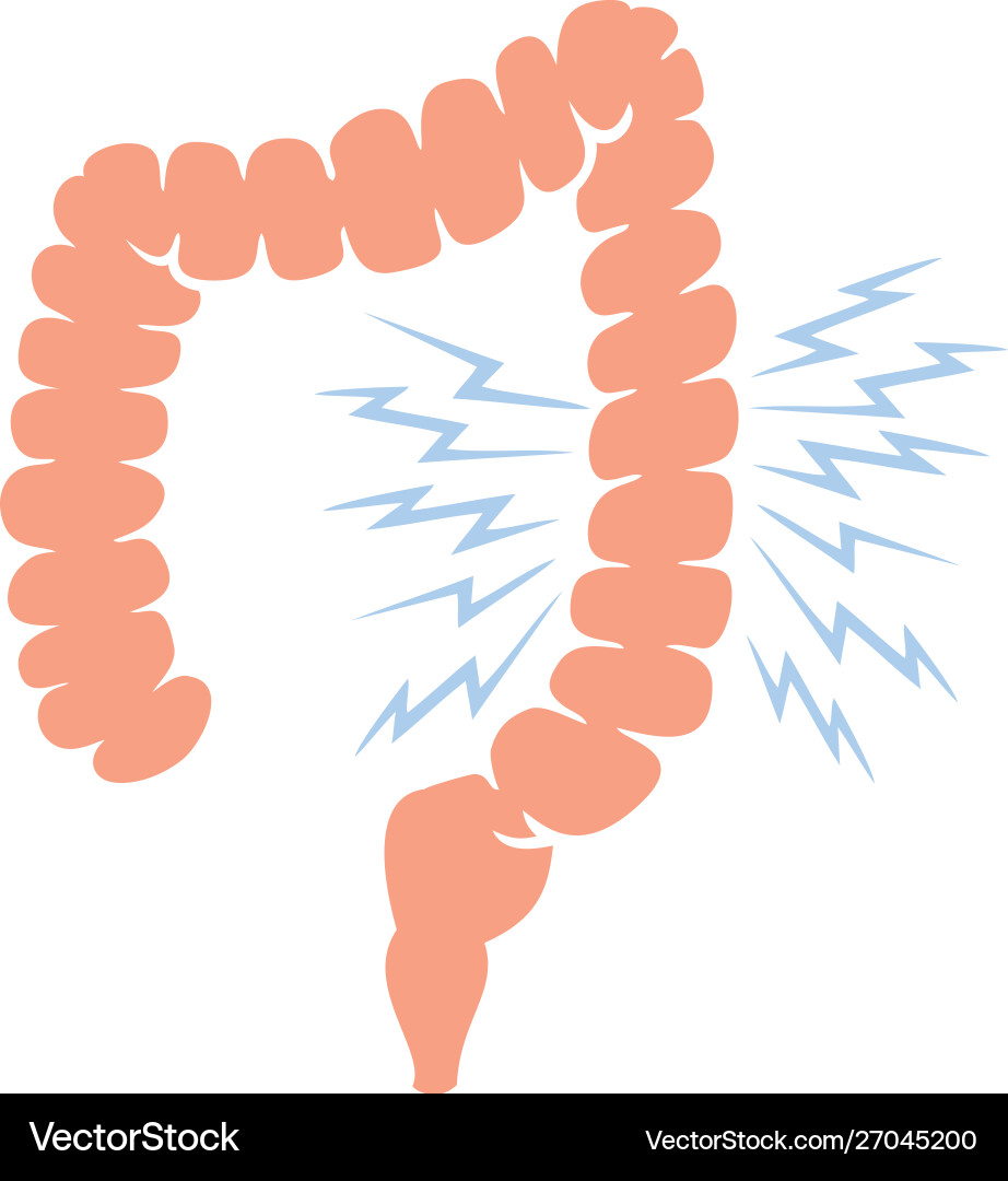 Problem with human large intestine Problem with human large intestine vector image