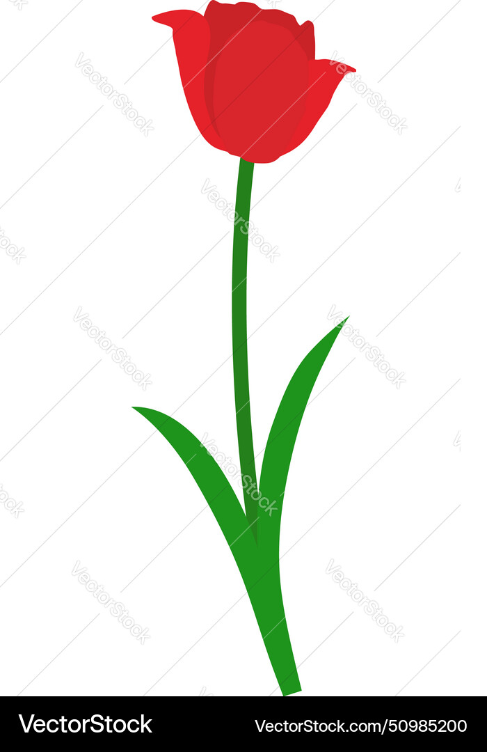 Spring tulip element Spring tulip element vector image