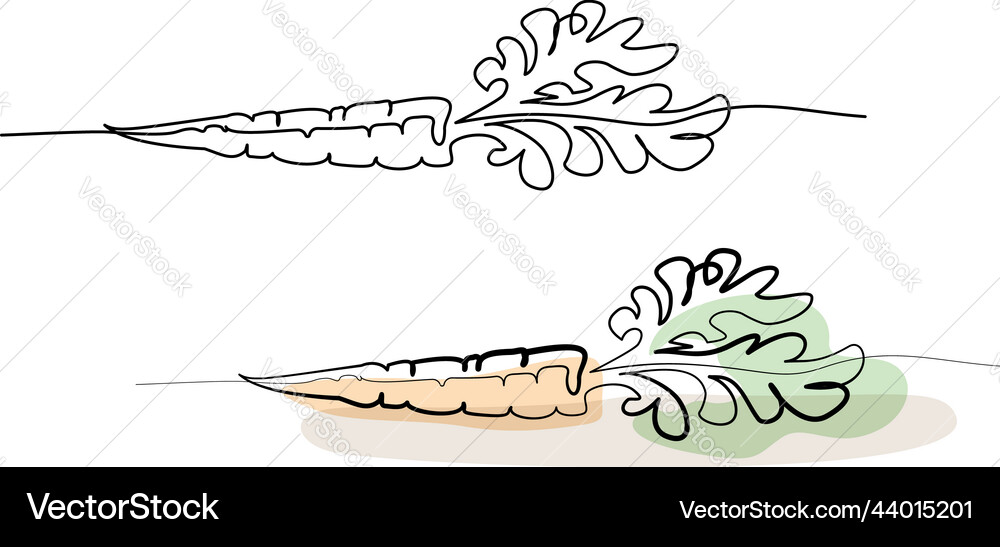 Carrot sketch with color spots continuous one vector image