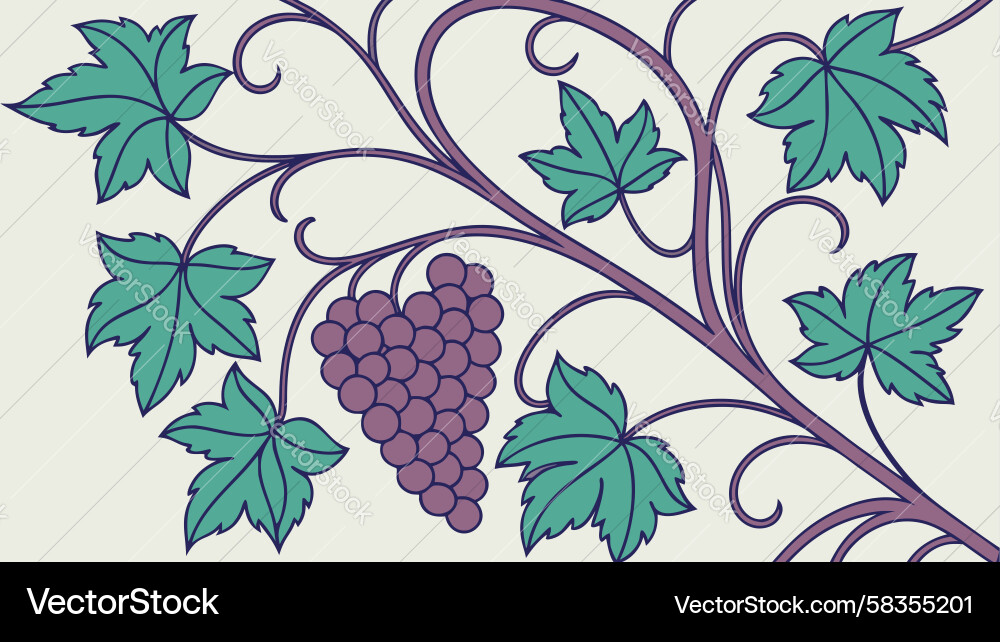 Grapevine Botanical Pattern Vector Image