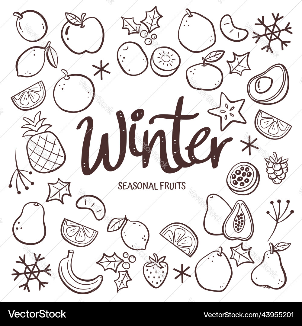 Handgezeichnet Winter saisonale Früchte Hintergrund Handgezeichnet Winter saisonale Früchte Hintergrund vektorbild