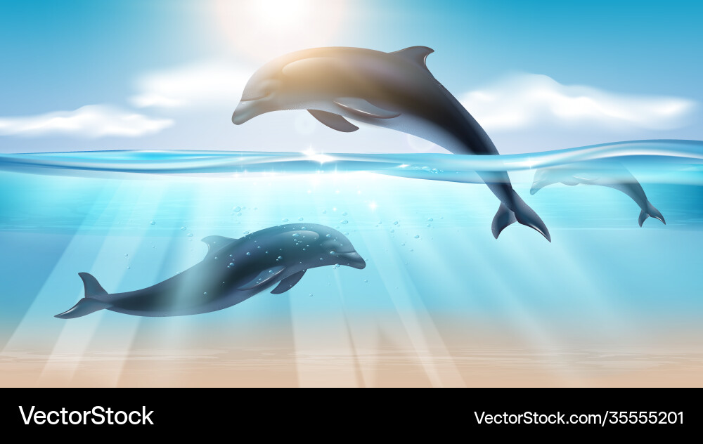 Jumping dolphin realistic background vector image