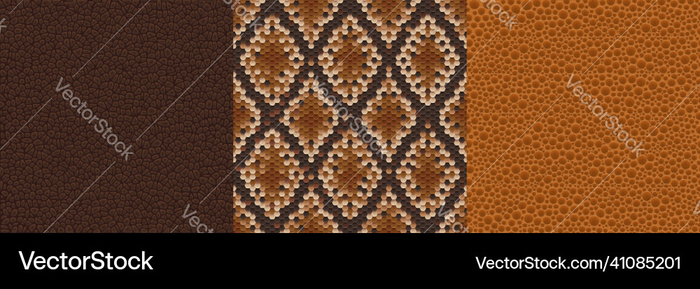 Snake Skin Textures - Reptile Patterns Vector Image
