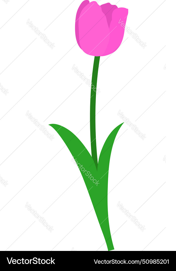 Spring tulip element Spring tulip element Vector Image