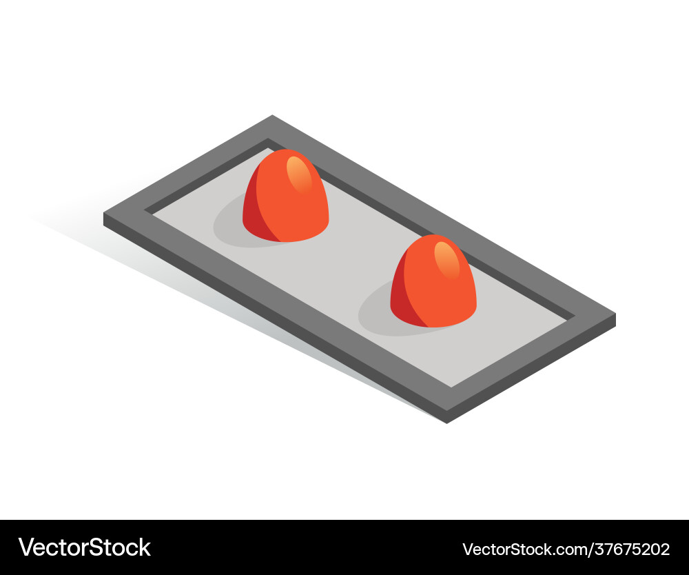Isometric button isolated icon two Vector Image