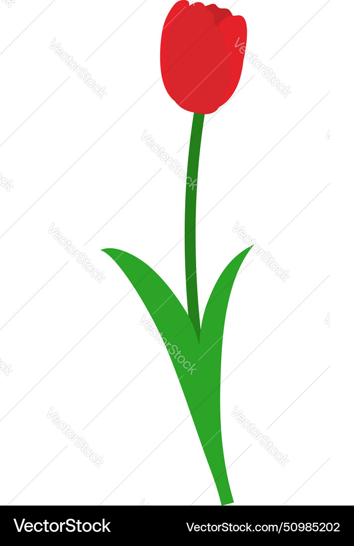 Spring tulip element Spring tulip element vector image